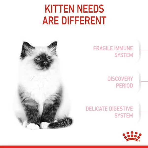 Royal Canin Kitten - Пълноценна суха храна за подрастващи котенца до 12 месеца